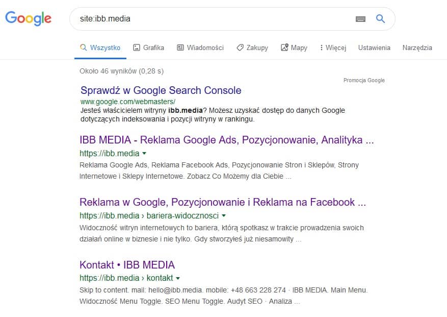 Wynik zapytania z operatorem site w Google